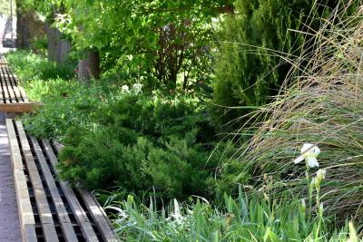 Прикрепленное изображение: 139.JPG